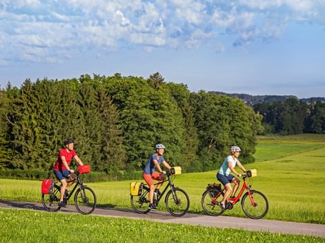 Drei Radfahrer mit Tourenrädern und Packtaschen fahren auf einem asphaltierten Weg durch grüne Wiesen in Sachsen, dichter Wald im Hintergrund.