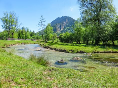 Clear river Ammer flowing through green meadows with trees and a forested mountain peak under blue sky near Munich, Bavaria.