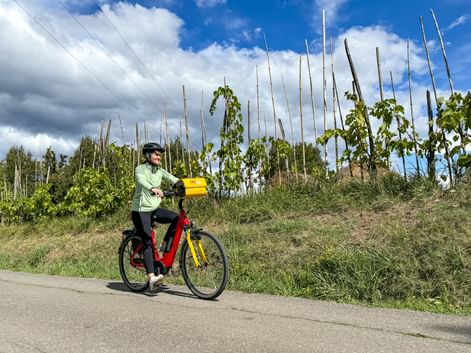 Radfahrerin in den Weinberge