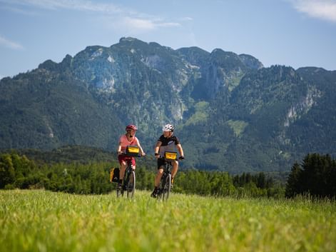 Two cyclists riding through a green meadow on the Alpe-Adria cycle path with forested mountains in the background under blue sky.