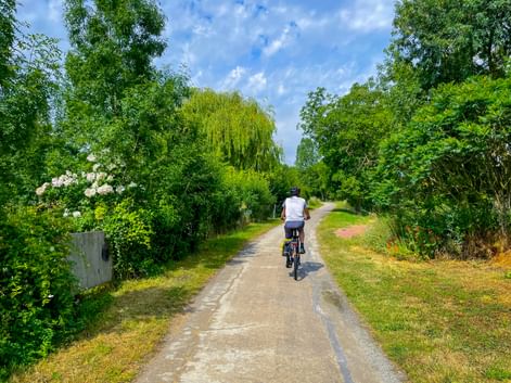 Cyclist in white shirt riding on paved path between lush green trees under blue sky on Montargis-Paris route.
