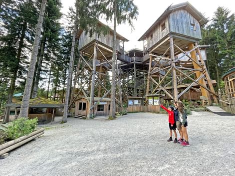 Excursion to treetop walk