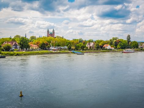 Der Rhein fließt an Speyer vorbei, mit den Doppeltürmen des historischen Doms über grünen Bäumen. Boote und Ufergebäude säumen das Ufer.