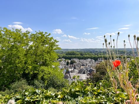 Panoramablick auf Chinon mit historischen Gebäuden und grauen Dächern. Eine rote Mohnblume und Wildblumen rahmen den Vordergrund unter blauem Himmel.