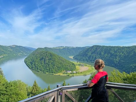 Cyclist in red and black jersey at viewing platform overlooking the Schlögener Schlinge, a horseshoe bend of the Danube River in Austria.