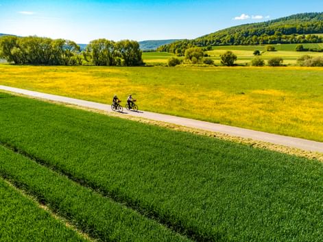 Two cyclists on a paved path crossing green and yellow meadows in the Weserbergland region, with forested hills in the background.