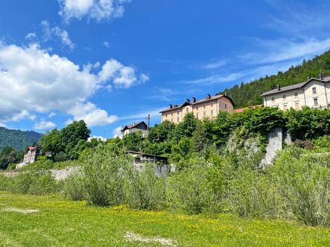 Traditional buildings in Tarvis on a hillside with lush green meadows and yellow wildflowers in the foreground under a blue sky.