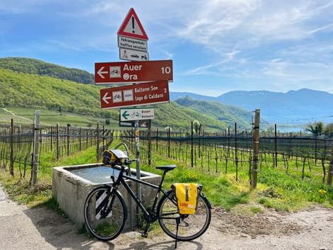 Fahrrad mit gelben Taschen neben Wegweisern nach Auer und Kalterer See, Weinberge und Berge im Hintergrund unter blauem Himmel.