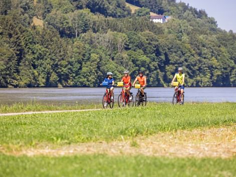Vier Radfahrer in bunten Trikots fahren entlang einer grünen Wiese neben der Donau, mit bewaldeten Hügeln im Hintergrund.