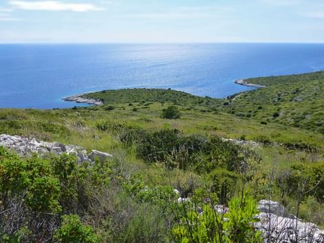 Dugi Otok Bucht