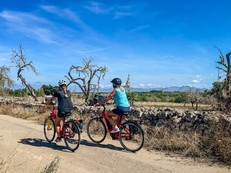 Two cyclists on a dirt path in Mallorca with stone walls, bare trees, and mountains under blue sky.