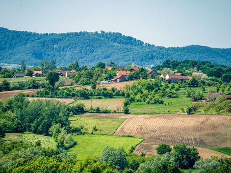 Ländliche Landschaft bei Kalocsa mit grünen Feldern, verstreuten Häusern mit roten Dächern, Bäumen und bewaldeten Hügeln im Hintergrund.