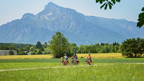 Three cyclists riding through green fields near Salzburg with the Untersberg mountain in the background under a clear blue sky.