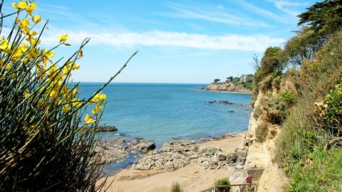 View of the Atlantic coast through blooming flowers