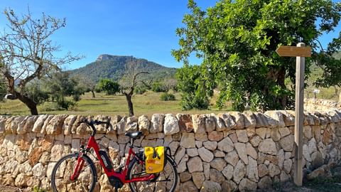 Rental bike