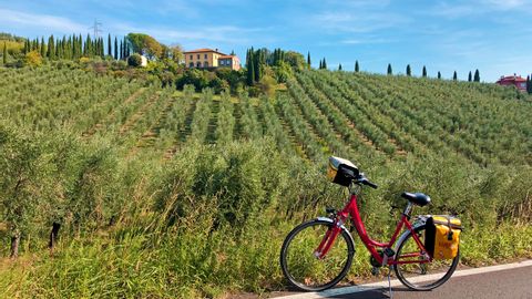 Fahrrad in den toskanischen Weinbergen