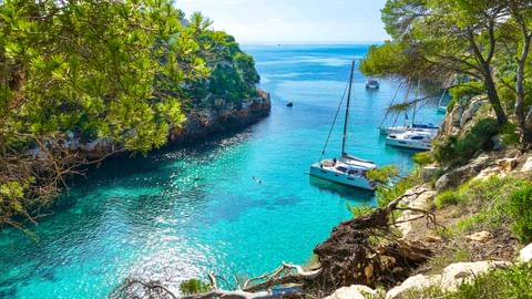 Turquoise waters of Cala Pi bay in Mallorca framed by pine trees and rocky cliffs, with several sailboats anchored in the cove.