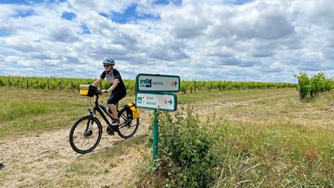 Cyclist cycling through vines along the cycle path