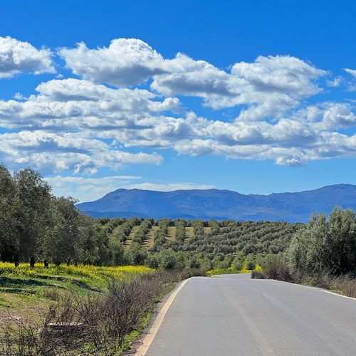 Landstraße inmitten von andalusischer Landschaft mit blauem Himmel