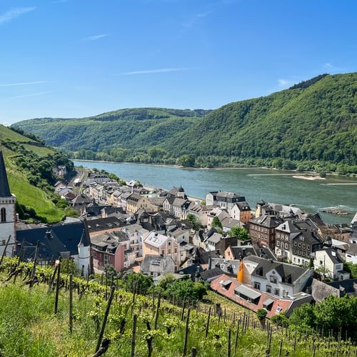 Ausblick über den Rhein bei Kaub