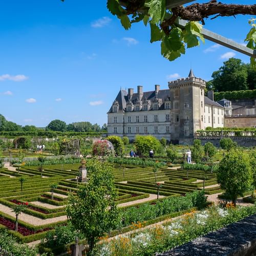 Schloss Villandry mit französischen Gärten mit geometrischen Hecken, Formschnittbäumen und Ziermustern unter blauem Himmel.