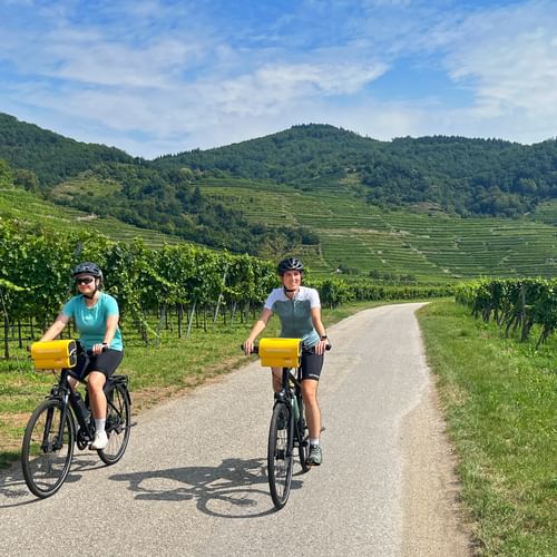 Two cyclists cycle through vineyards