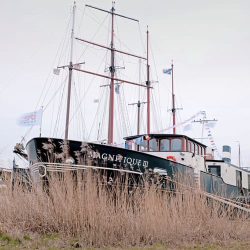 MS Magnifique 3
