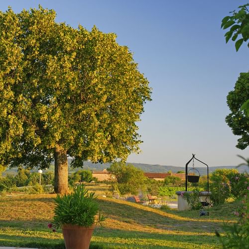 Garden at Hotel Mas de La Tour