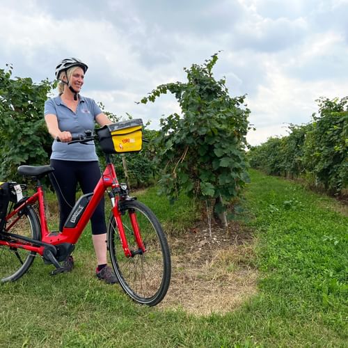 Radfahrerin mit Weinreben