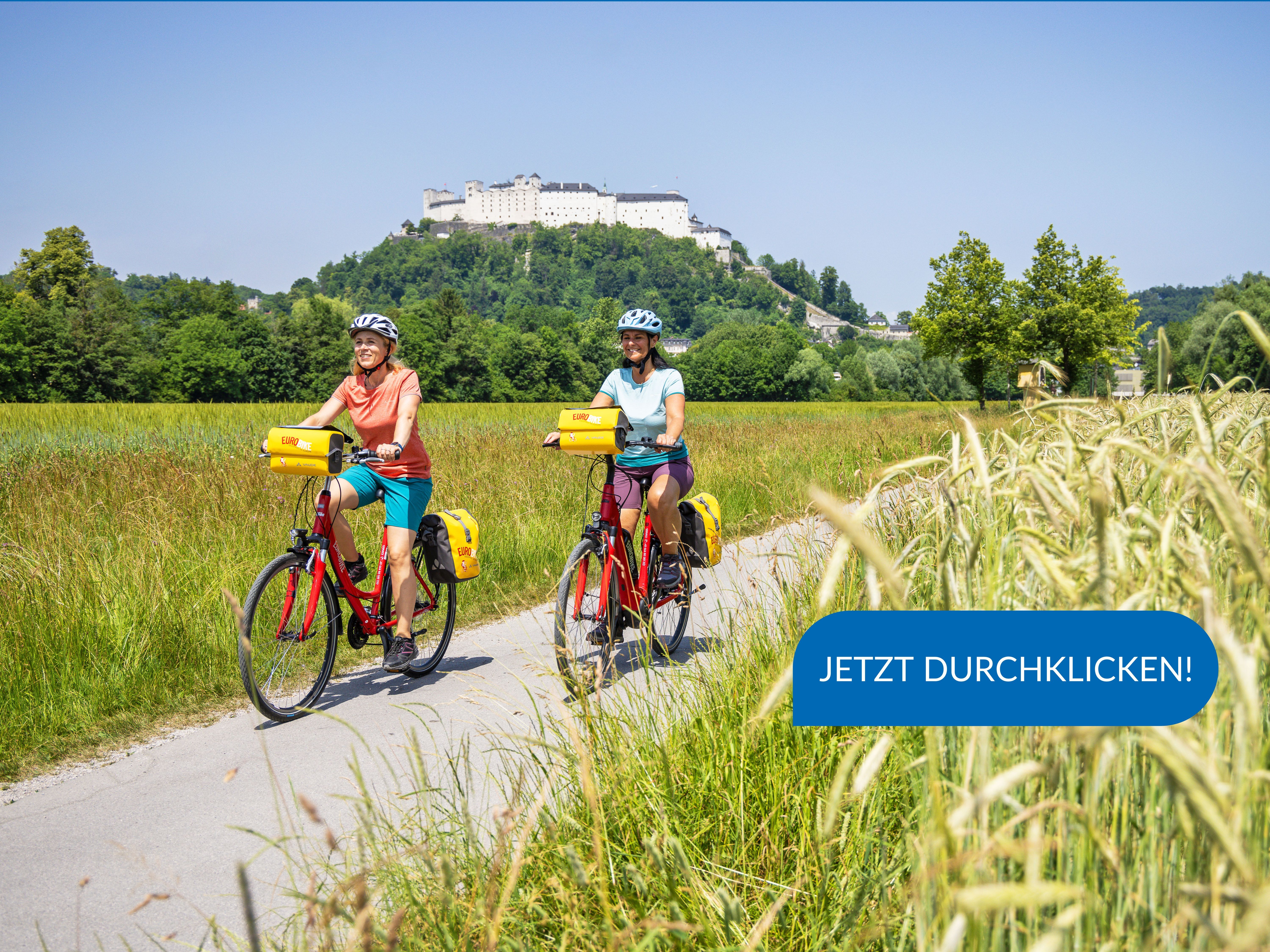 abus fahrradhelm mountainbike Moventor 2.0 günstig online kaufen — Raleigh Sonnenpflege Color:Ultra Blue-Persimmon