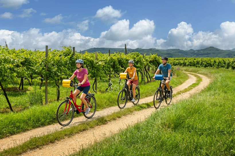 Cycling Routes 15 Km Cycling Classic NZ Cycle Trails