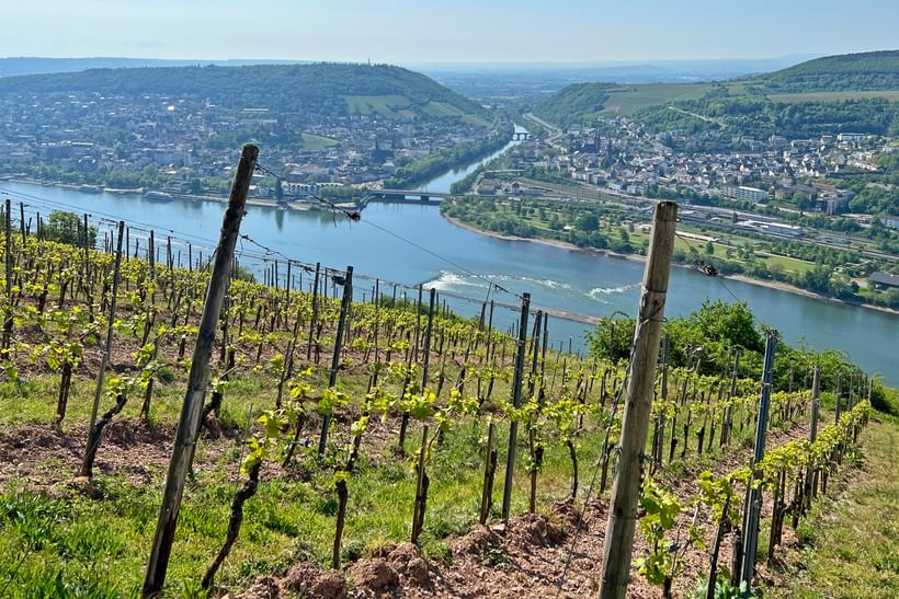 Neckar, Rhine and vines Eurobike cycle tours
