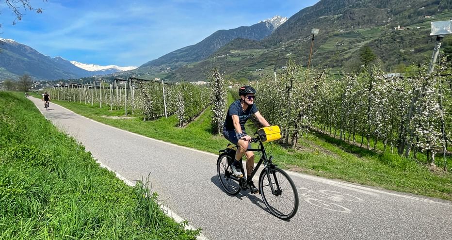 Apfelbäume am Etschradweg
