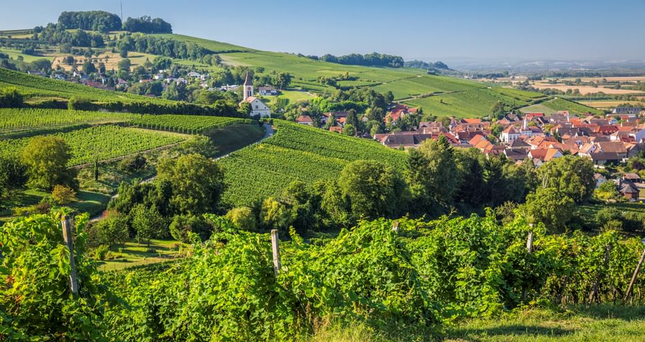 Panoramic view of Auggen village with church tower nestled among rolling vineyards in the Southern Black Forest under blue sky.