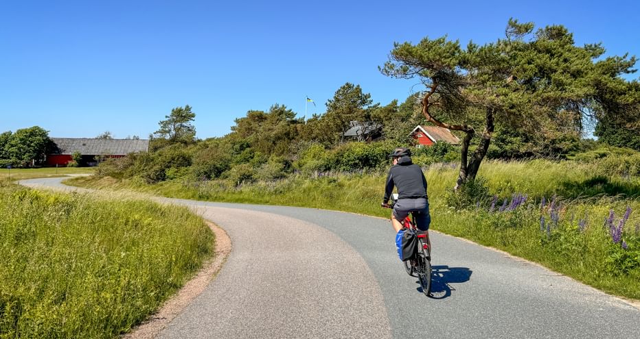 Radfahrer mit Taschen auf asphaltiertem Sydkustleden-Radweg durch grüne Landschaft mit roten Häusern und Bäumen unter blauem Himmel.