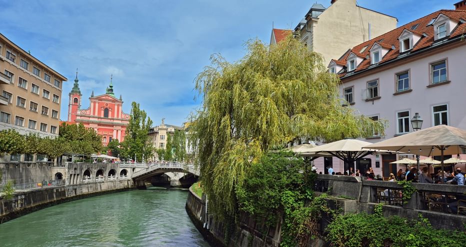 Grüner Fluss durch Ljubljana mit Weide, Steinbrücke und rosa Kirchturm. Café-Terrasse am Flussufer.