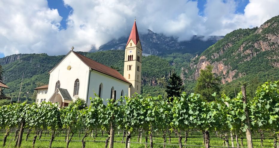 Church with vines
