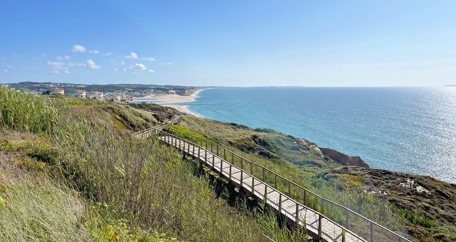 A wooden walkway on a leafy cliff with a view of houses and the sea