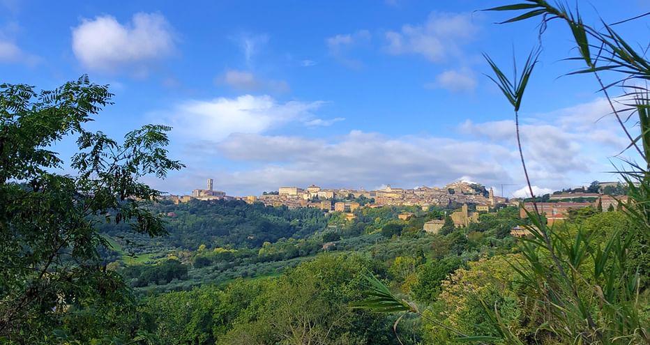 Countryside in Umbria