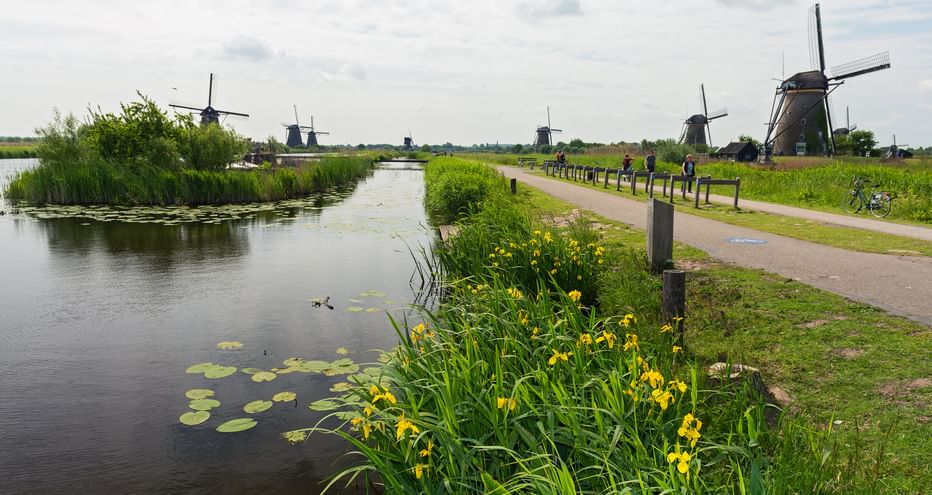 Windmills in Kinderdijk-Elshout