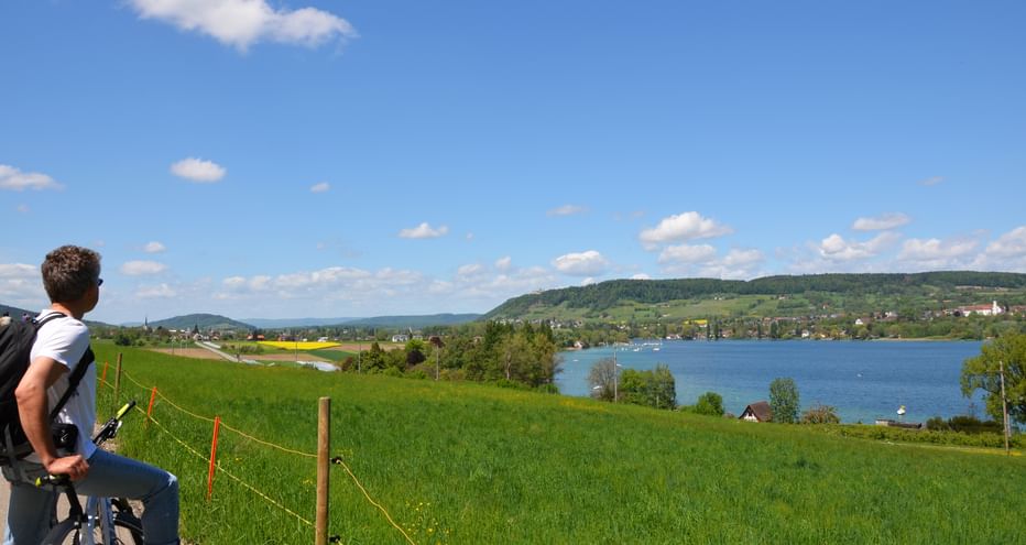 Radfahrer bei einem Stopp mit Blick auf den Untersee, umgeben von Wiesen und Hügeln