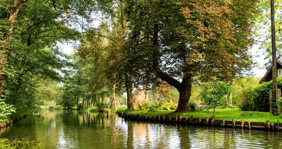 Ein Bach im Spreewald
