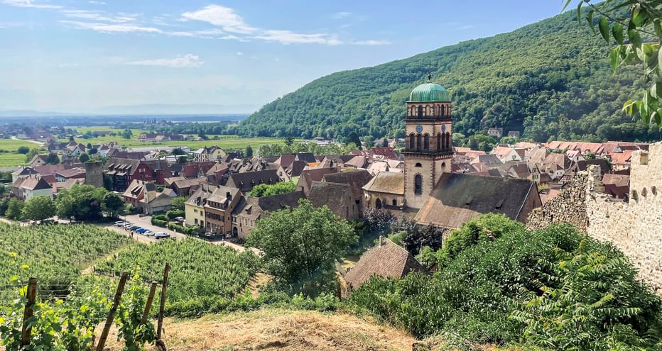 Weinberge mit Blick auf Kaysersberg