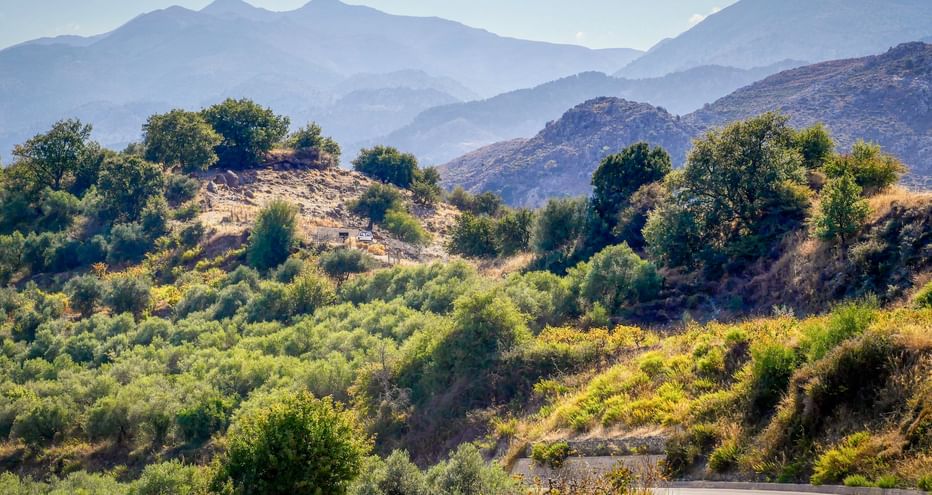 Kurvenreiche Straße durch grüne Hügel mit Olivenbäumen und Sträuchern auf Kreta. Gebirgsketten im nebligen Hintergrund sichtbar.
