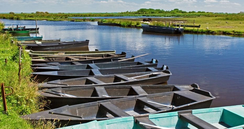 Many small boats on the shore of a watercourse of the Brière marshes