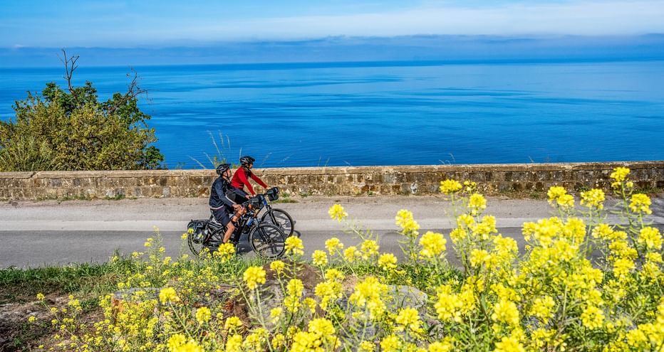 Radfahrer mit Packtaschen auf Küstenstraße mit gelben Blumen im Vordergrund und blauem Mittelmeer im Hintergrund im Cilento.