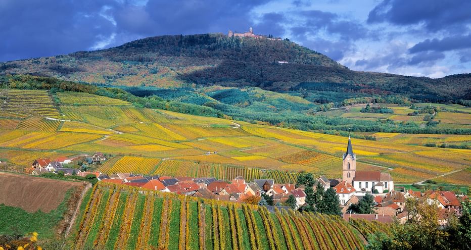 Der inmitten von Weinbergen gelegene kleine Ort Rodern mit der auf einem bewaldeten Hügel liegenden Hohkönigsburg