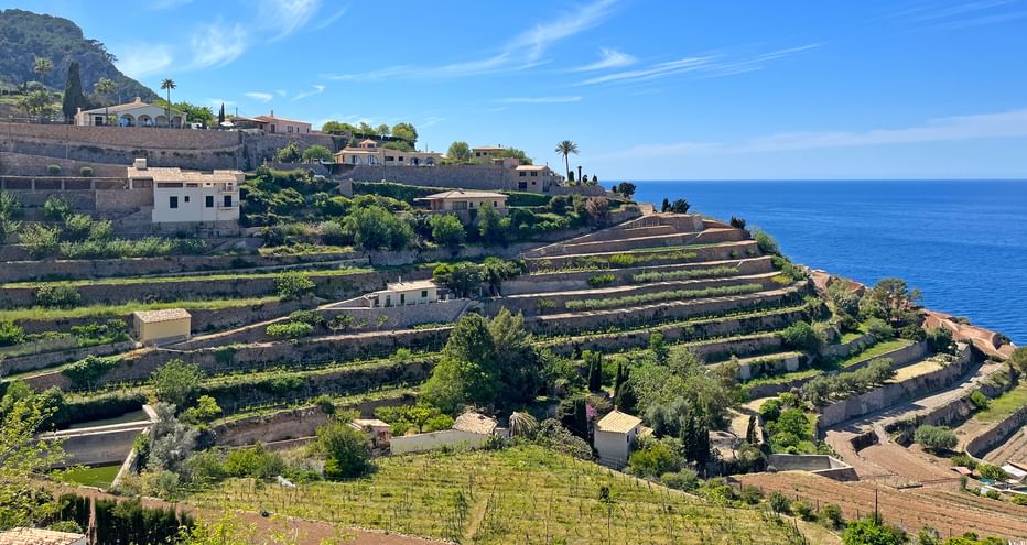 Landwirtschaftliche Terrassen in Banyalbufar, Mallorca, die zum Mittelmeer hinabführen mit Steinhäusern und üppiger Vegetation.