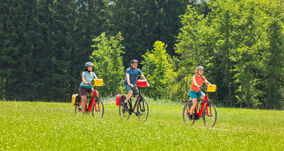 Drei Radfahrer mit Helmen und Packtaschen fahren durch eine sonnige Wiese am Tauernradweg bei Salzburg, mit dichtem Wald im Hintergrund.