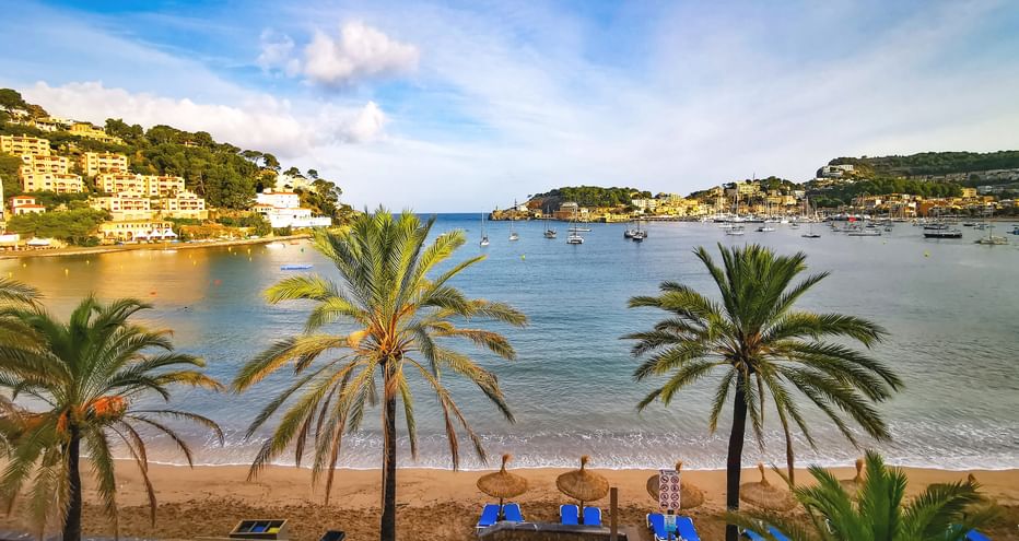 Ausblick vom Hotelzimmer auf den Strand und den Hafen von Port Soller, mit Palmen im Vordergrund